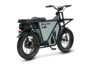 GT53 Electric Dirt Bike, Top Speed 37mph (60 km/h), 70–170km Range (assist), 1123Wh (48V 23.4Ah), 54.5kg, 20”×4.0” — Off-Road E-Moto - Image 5