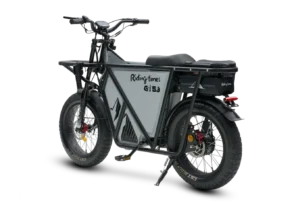 GT53 Electric Dirt Bike, Top Speed 37mph (60 km/h), 70–170km Range (assist), 1123Wh (48V 23.4Ah), 54.5kg, 20”×4.0” — Off-Road E-Moto - Image 3