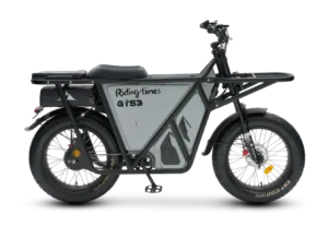 GT53 Electric Dirt Bike, Top Speed 37mph (60 km/h), 70–170km Range (assist), 1123Wh (48V 23.4Ah), 54.5kg, 20”×4.0” — Off-Road E-Moto